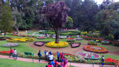 COIMBATORE - OOTY - COIMBATORE